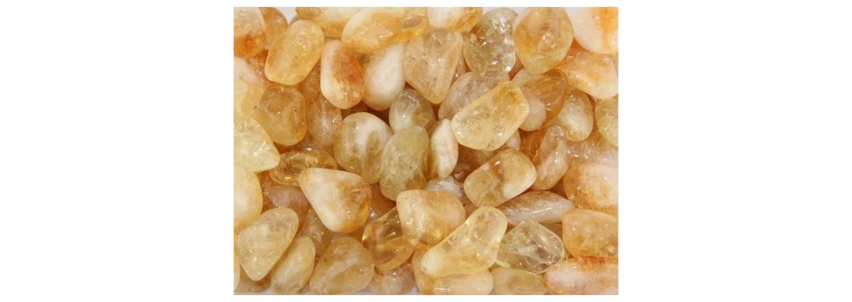 21. December 2020 - Lge Nr. 21 - Brndt Citrin