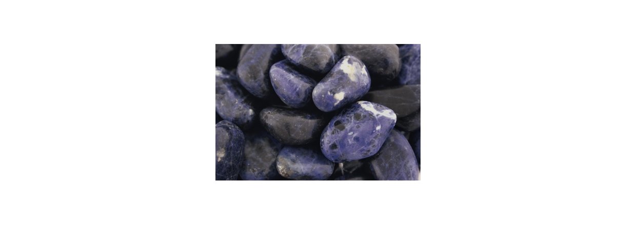 19. December 2020 - Lge Nr. 19 -Sodalit