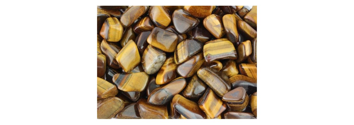 13. December 2020 - Lge Nr. 13- Tigerje