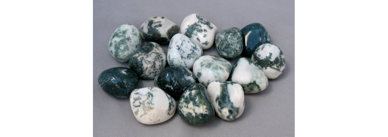 8. December 2020 - Lge Nr. 8 - Tr Agat