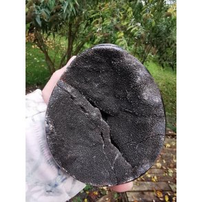 Smuk & Magisk Septarie Drageg - 1240g 