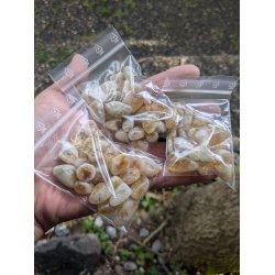 50g Brndt Citrin Lommesten - Sm 1-2 cm