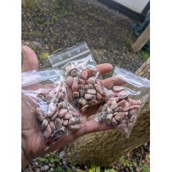 50g xs Rhodocrosit fra Argentina