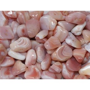 Abrikos Agat Lommesten B kvalitet 