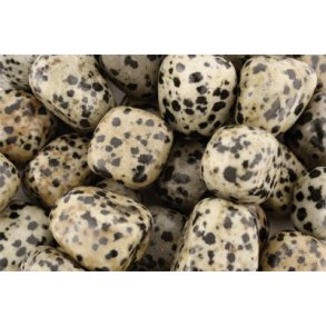 Dalmatiner Jaspis Lommesten