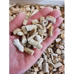 Fossile Haj Knogler - Pose med 50g 