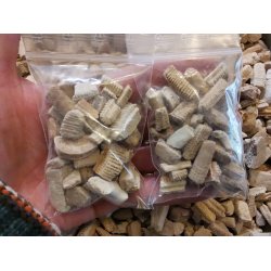 Fossile Haj Knogler - Pose med 50g 