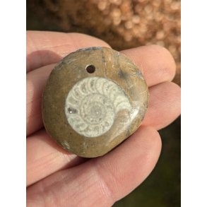 Goniatit Fossil Smykke Vedhng Nr. 116 inkl. ldersnor