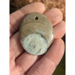 Goniatit Fossil Smykke Vedhng Nr. 117 inkl. ldersnor