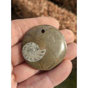 Goniatit Fossil Smykke Vedhng Nr. 118 inkl. ldersnor