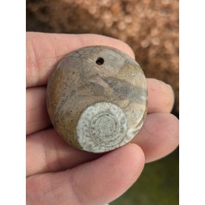 Goniatit Fossil Smykke Vedhng Nr. 119 inkl. ldersnor