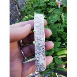 Speciel Dino - Atlasaurus Poleret Knogle Skive nr. 2 