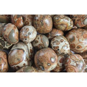 Leopardite Onkolit Lommesten