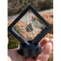 Meteorit Campo de Cielo 8,22g Ink. Svveramme display