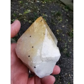 Stor Smuk Brndt Citrin Stende Spids - Generator Nr. 24