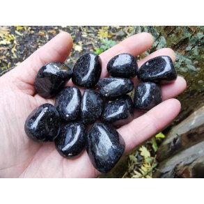 Nuumit Lommesten Fra Grnland 