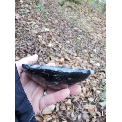 Smuk Orthoceras Fossil Skl Nr. 22 - Nedsat - B kvalitet