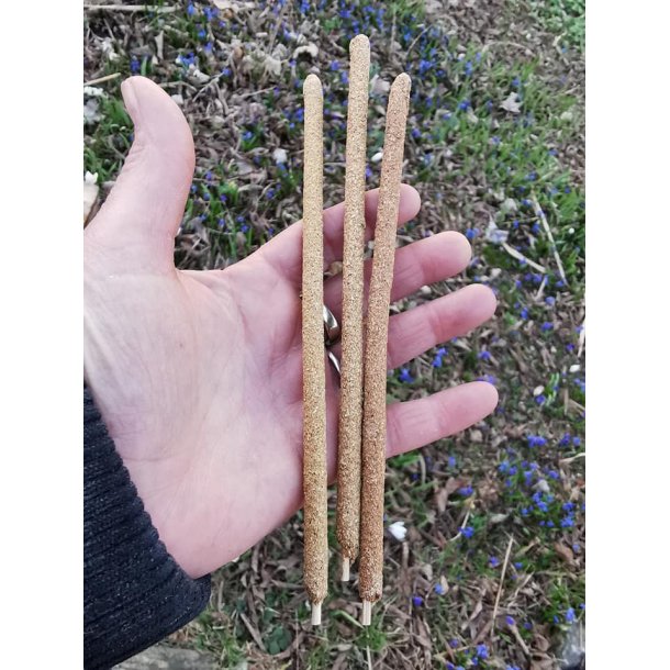 Palo Santo XL Rgelses Pind 