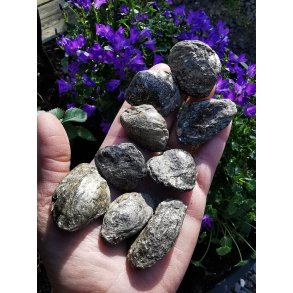 R� & Ubehandlet Biotit Linse fra Portugal - 3-4 cm