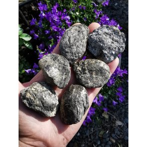 R� & Ubehandlet Biotit Linse fra Portugal - 4-5 cm