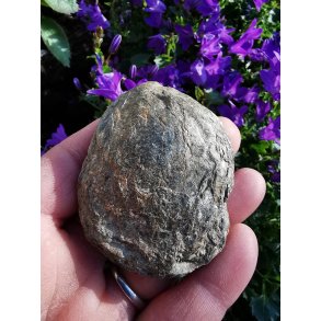 R & Ubehandlet Biotit Linse fra Portugal - 75g 