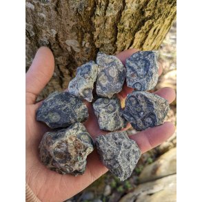 R� Kambamba Jaspis / Eldarit 3-4,5 cm 