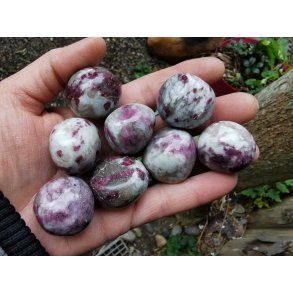 Rubellite - Pink Turmalin I Matrix Lommesten 