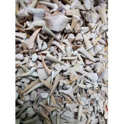 Sm Fossile Hajtnder - dele mv - Pose med 30g 