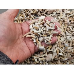 Sm Fossile Hajtnder - dele mv - Pose med 30g 