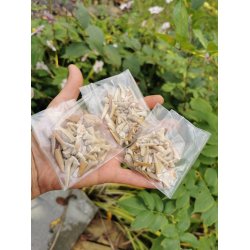 Sm Fossile Hajtnder - dele mv - Pose med 30g 