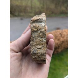 Smuk Forstenet Tr - Mellemstor Skive -  Rustik poleret skive - Nr. 46