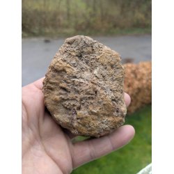 Smuk Forstenet Tr - Mellemstor Skive -  Rustik poleret skive - Nr. 46