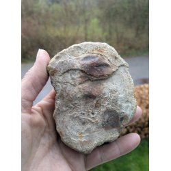 Smuk Forstenet Tr - Mellemstor Skive -  Rustik poleret skive - Nr. 48