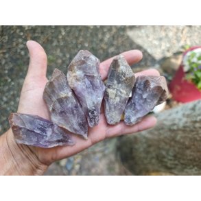 Super seven - Super 7 Red Cap - R� 2. sort 