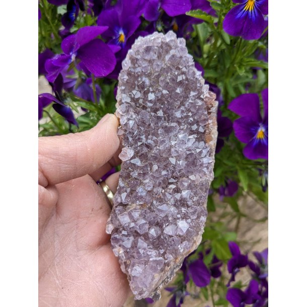 Ametyst druzy klynge Fra Uruguay 238g 