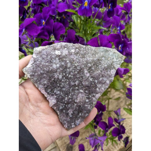 Ametyst druzy klynge Fra Uruguay 240g 