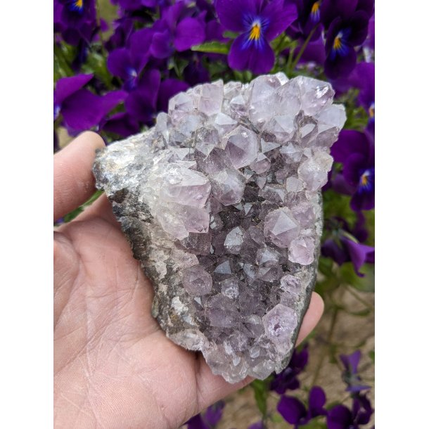 Ametyst druzy klynge Fra Uruguay 370g 