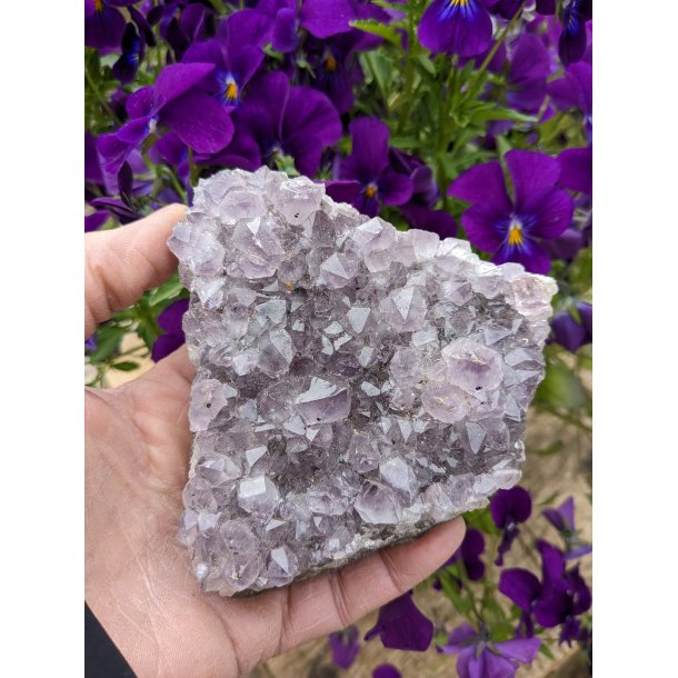 Ametyst druzy klynge Fra Uruguay 435g 