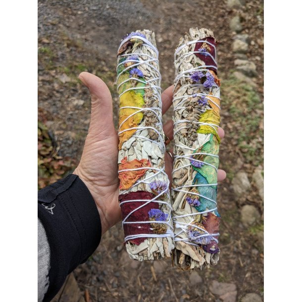 XXL Hvid Salvie Chakra Smudge  Fra  USA -  22-23 cm 