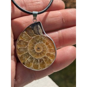 Smuk Ammonit Smykke Vedhng - 63