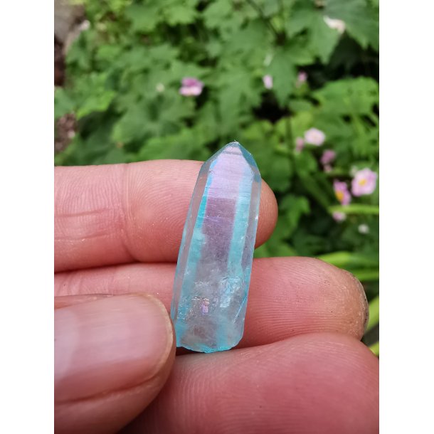 Smuk Lille Aqua Aura Spids Nr. 22 - fra USA 