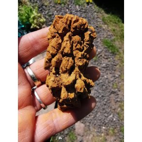 Spndende R Coprolite - Koprolit Nr. 6 - 127g 