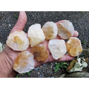 Smuk Golden Healer Skive - Rustik Poleret Side 