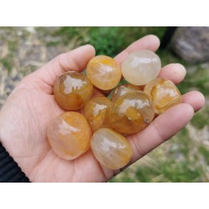 Golden Healer Lommesten 