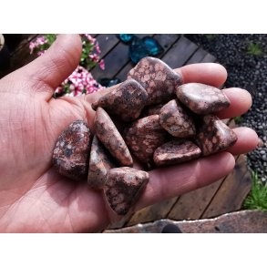 Leopard Jaspis Lommesten