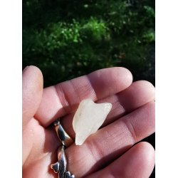 Eksklusivt Libysk rkenglas Nr. 20020