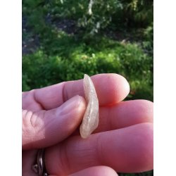 Eksklusivt Libysk rkenglas Nr. 20066