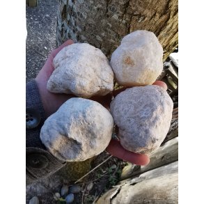 Lukket Kvarts Geode Str. Medium ca. 6-8 cm 