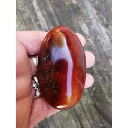 Smuk Karneol XXL - Jumbo Sten Nr. 1