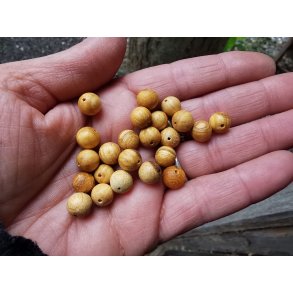 Palo Santo Tr Perle - 6mm runde 